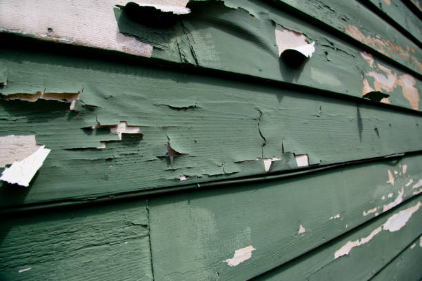 Siding Removal and Disposal in Amelia, LA